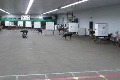 c200c8_839d845419524aba8fb36512998edcc9