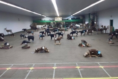 c200c8_e030fac2c3444ee6a81d2831e6da8710