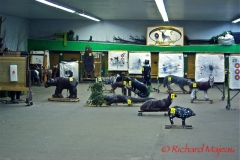 c200c8_fd14b032071f4162afab9c4748cb3e50