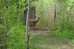 c200c8_177b26cbd6e24badbd52bac5a026d0d5