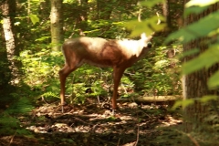 c200c8_7d7bfa0f2780445588c87f3fe8143504