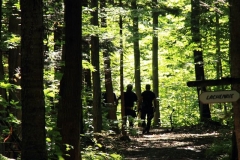 c200c8_9bb6f9f564d14a55a4df6326e01b36a3